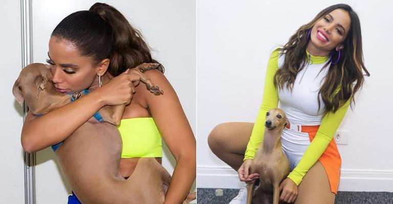 Cachorro de Anitta faz o modelo e rouba a cena em fotos