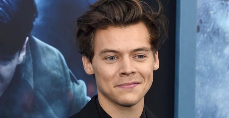 Harry Styles fará shows no Brasil em 2020, diz jornalista