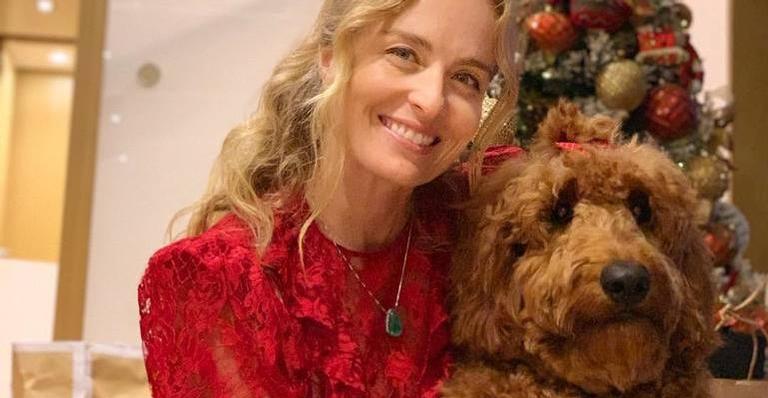 Cachorrinha de Angélica tem perfil no Instagram com mais de 36 mil seguidores