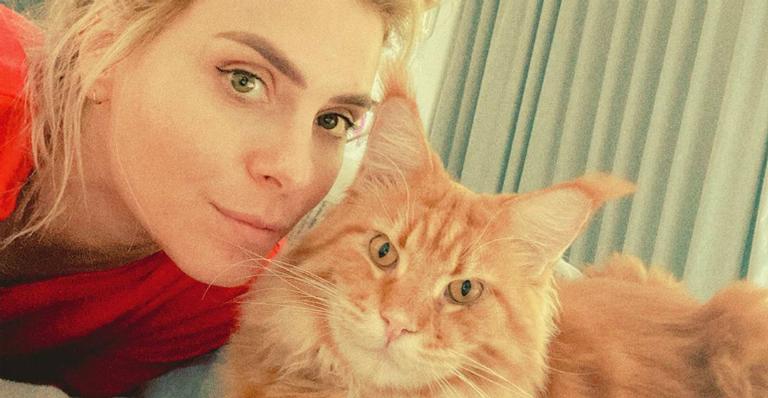 Carolina Dieckmann compartilha clique com seu gatinho e comemora lei que defende os animais