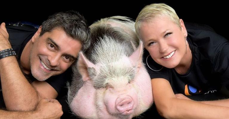 Xuxa Meneghel faz apelo pelos animais consumidos na ceia de Natal: ”Vida sem morte na mesa”