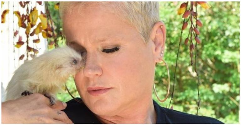 Xuxa é criticada na web após alertas sobre consumo de carne animal no Natal e rebate