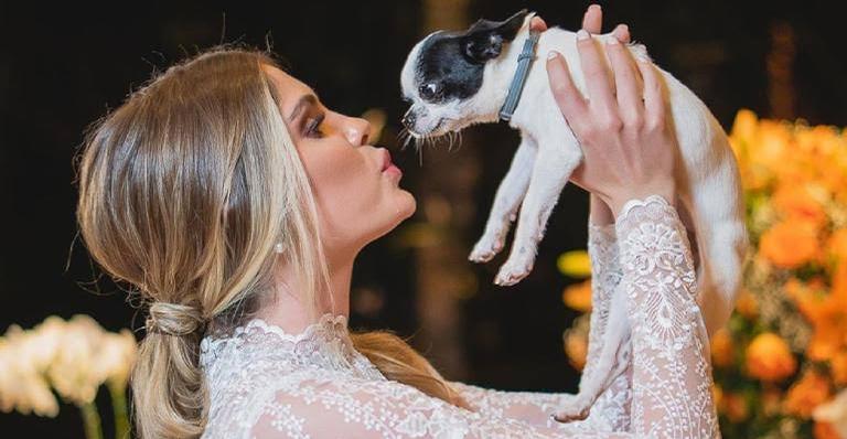 Barbara Evans revela aos prantos que seu cachorro precisou passar por cirurgia após acidente