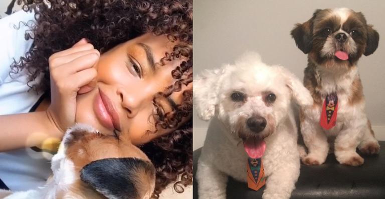 Lucy Ramos encanta web ao se declarar para seus cachorros: ”Filhos peludos”