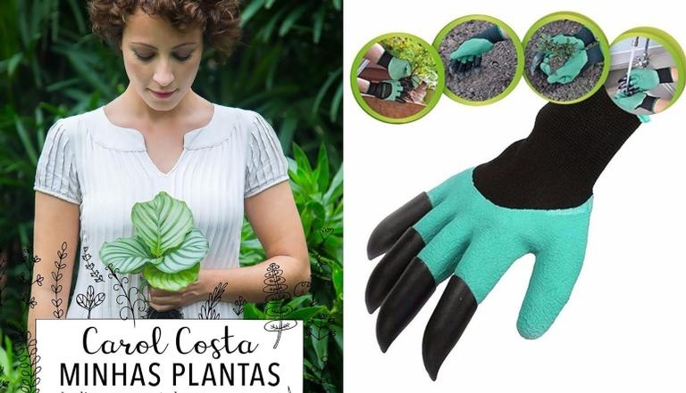 Confira 7 itens essenciais para jardinagem