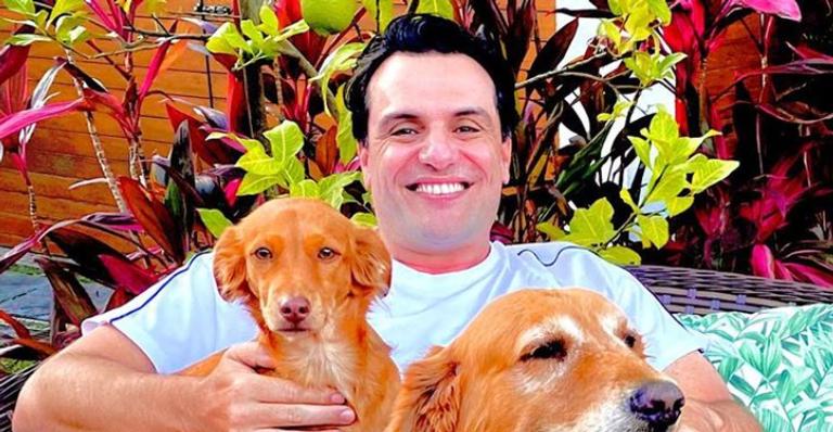 Na quarentena, Rodrigo Lombardi surge rodeado de cachorros e encanta web: ”Já fez cafuné?”