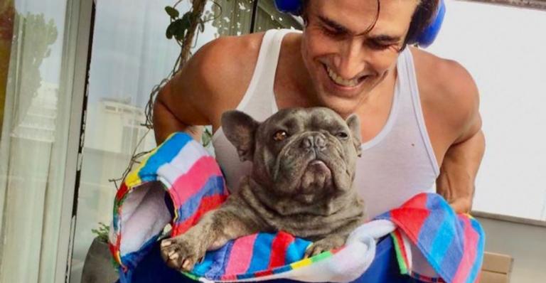 Reynaldo Gianecchini treina com seus cachorros e se derrete pelos filhos caninos