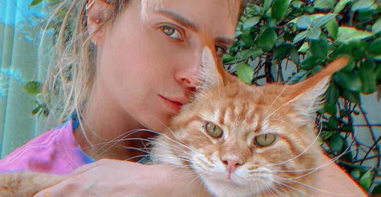 Carolina Dieckmann exibe gatinho em lugares inusitados e diverte fãs: ”Parece com você”