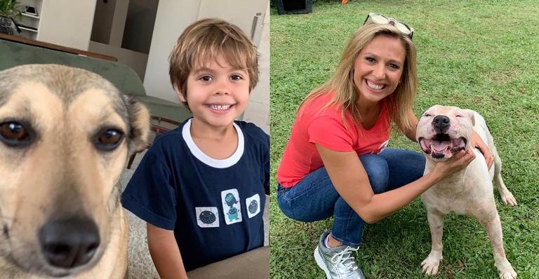 ”Eles estão sendo fundamentais para meu filho”, diz Luisa Mell sobre os cachorros de estimação