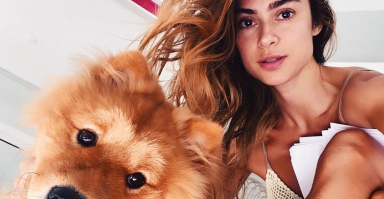 Thaila Ayala surge em momento fofo com cachorro e se derrete: ”Amor da minha vida!”