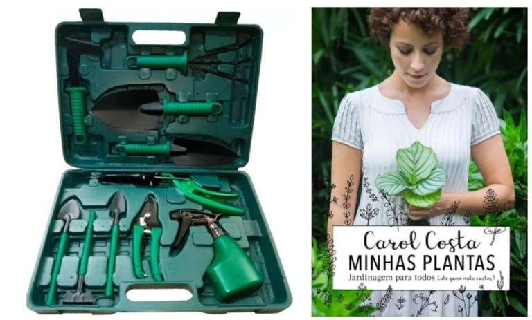 Jardinagem: 6 itens que você precisa ter em casa
