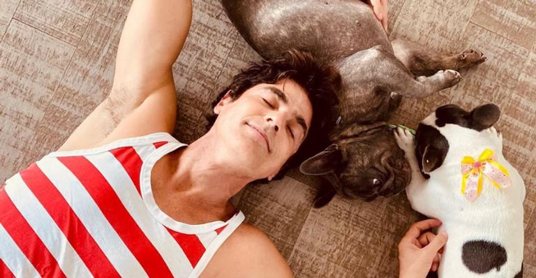 Reynaldo Gianecchini mostra cães em momento preguiça e brinca: ”Semana começa animada por aqui!”