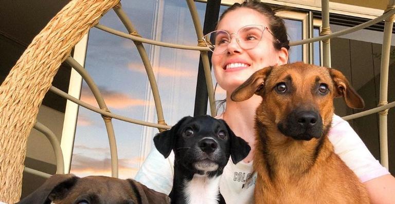 Camila Queiroz celebra um ano da sua cachorra de estimação: ”Menina doce, calma, amorosa”