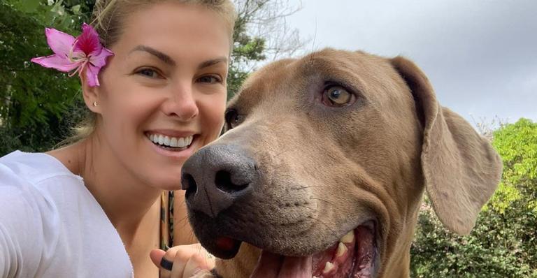 Ana Hickmann abre álbum de fotos com filhos peludos na web: ”Eu amo”