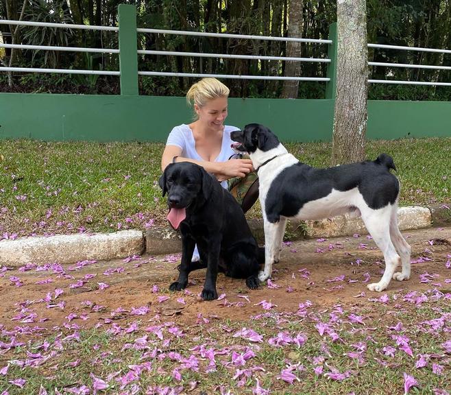 Ana Hickmann abre álbum de fotos com filhos peludos na web