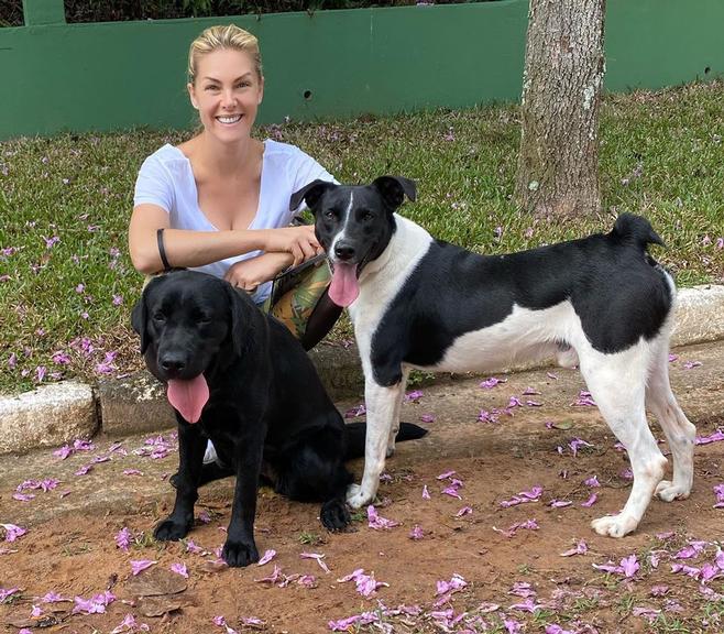 Ana Hickmann abre álbum de fotos com filhos peludos na web