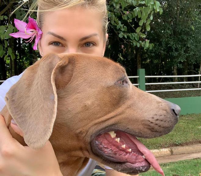 Ana Hickmann abre álbum de fotos com filhos peludos na web