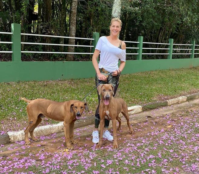 Ana Hickmann abre álbum de fotos com filhos peludos na web