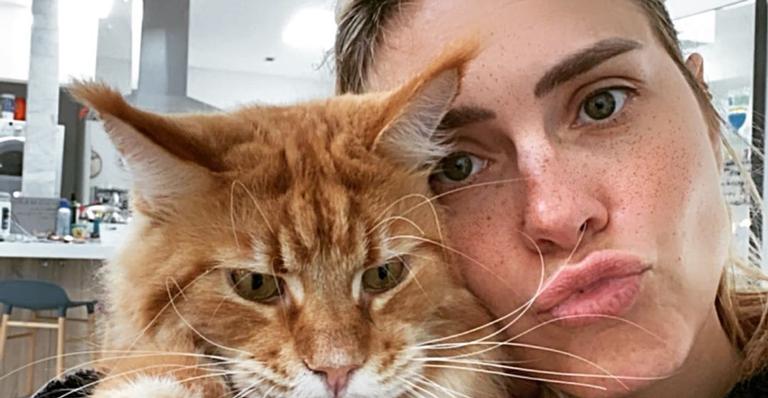 Em quarentena, Carolina Dieckmann posa agarradinha com gato e encanta web