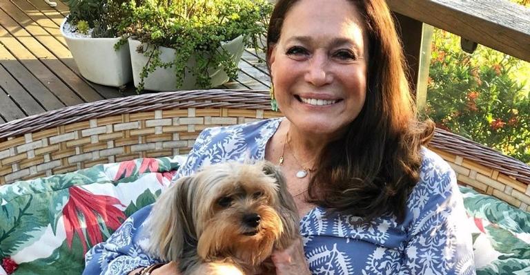 Susana Vieira arranca suspiros com registro fofíssimo de seus cachorrinhos de estimação