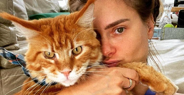 Carolina Dieckmann mostra momento de carinho com gato de estimação: ”Coisa mais linda”