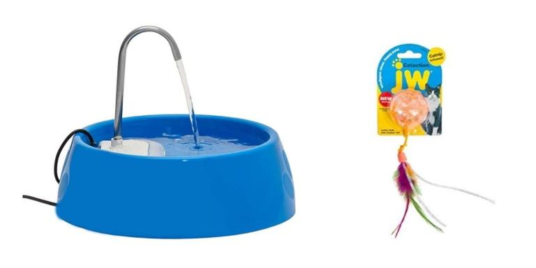 5 produtos que todo gato precisa ter
