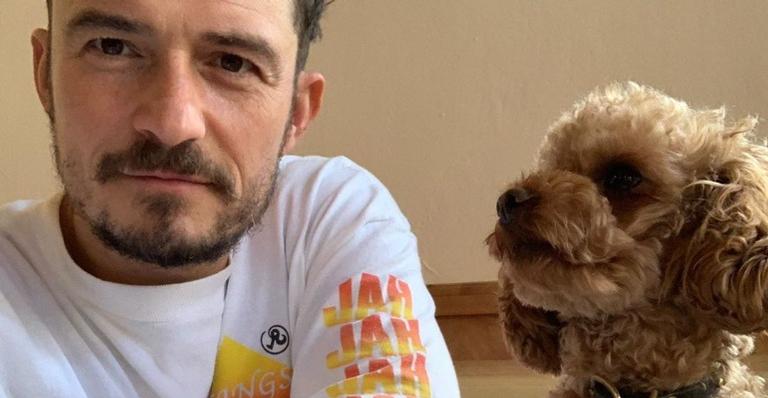 Com desabafo emocionante, Orlando Bloom lamenta a morte de seu cachorrinho: ”Conexão de alma”