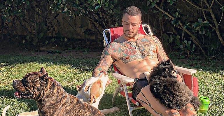 Filhos de quatro patas! Felipe Titto faz fofa declaração aos seus cachorros