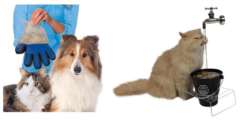 6 itens que vão trazer comodidade para seu pet