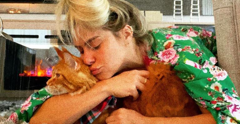 Carolina Dieckmann se derrete por seu gatinho de estimação: ”Coisa linda da mamis”