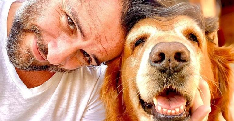 Rodrigo Lombardi curte momento com cachorros de estimação: ”Coisa mais linda desse mundo”