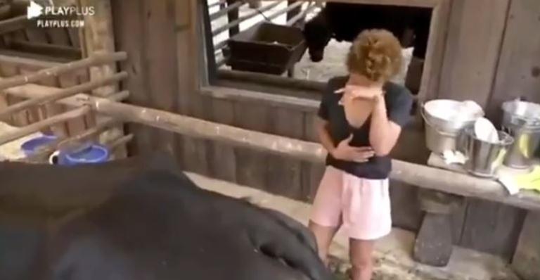 A Fazenda: Vegana, Lidi Lisboa chora ao tirar leite de vaca: ”Por que, meu Deus?”
