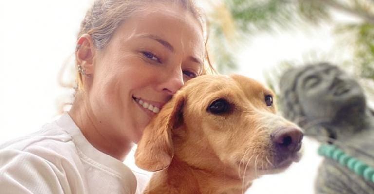 Paolla Oliveira posa coladinha com seus cachorros e se derrete: ”Amor de todos os dias”