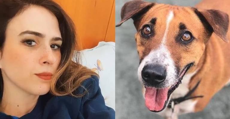 Tatá Werneck lamenta perda de cão e desabafa: ”Você mudou nossas vidas”