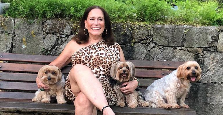 Susana Viera emana alto astral em nova publicação: ”Feliz domingo para todos!”