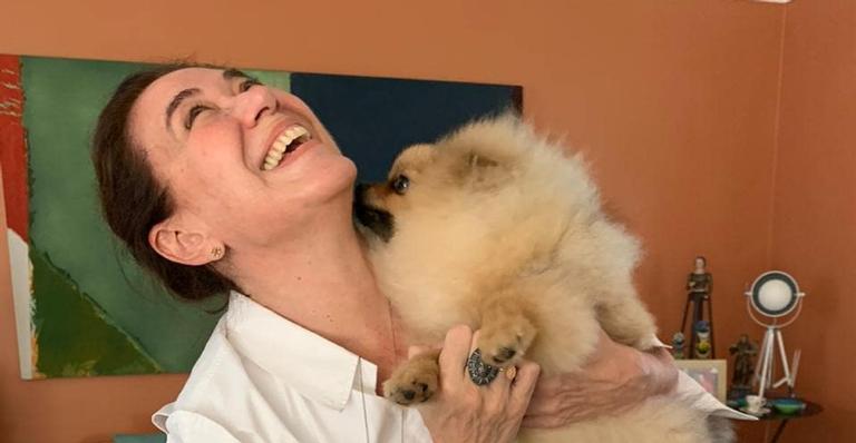 Lilia Cabral derrete a web ao publicar um clique fofo de seu cãozinho: ”Ownt que lindo”