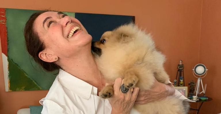 Lilia Cabral faz foto de seu cachorro com brinquedo novo e se derrete: ”Foi dormir tomando conta”
