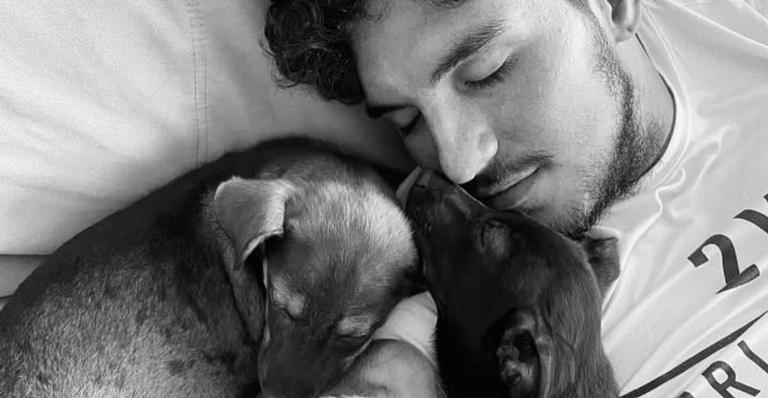 Gabriel Medina encanta ao posar com suas cachorrinhas e fala sobre adoção: ”Minha vida mudou”