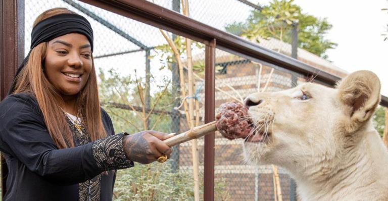 Em Dubai, Ludmilla surge alimentando animais selvagens e surpreende web: ”Corajosa é ela”