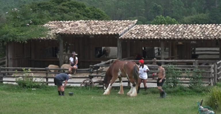 A Fazenda: Peões se emocionam ao se despedir dos animais