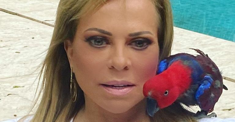 Christina Rocha ostenta corpão ao posar de biquíni e deixa web babando: ”Arrasou”