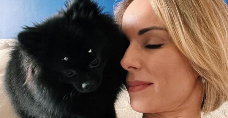 Ana Furtado aproveita o clima quente para se refrescar com as suas cachorras: ”Piscina liberada”