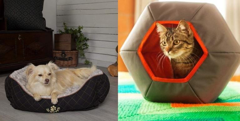 Guia do pet: 8 opções de caminhas para você conferir