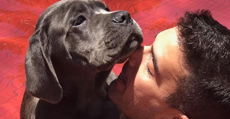 André Marques lamenta morte de cachorrinha: ”Um câncer raro, foi tudo tão rápido”