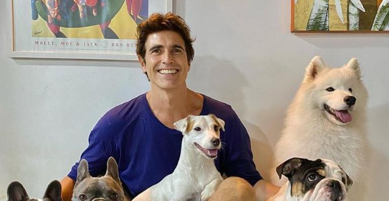 Reynaldo Gianecchini compartilha registros fofíssimos de seus cachorrinhos de estimação
