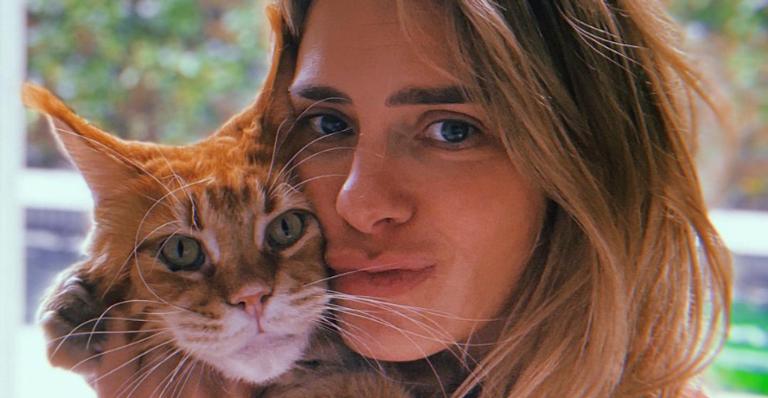 Carolina Dieckmann celebra Dia do Gato fazendo homenagem ao seu pet: ”Pra estourar o fofurômetro”