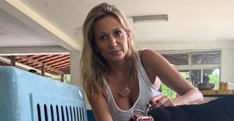 Após um ano, Luisa Mell relembra sintomas da Covid-19: ”Nada foi mais assustador”