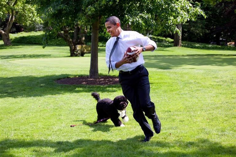 Barack Obama lamenta morte de seu cão, Bo, que o acompanhou na presidência dos EUA