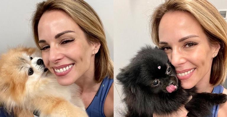 Ana Furtado fala sobre as vantagens em ter cachorros de estimação: ”Faz bem, aquece o coração”