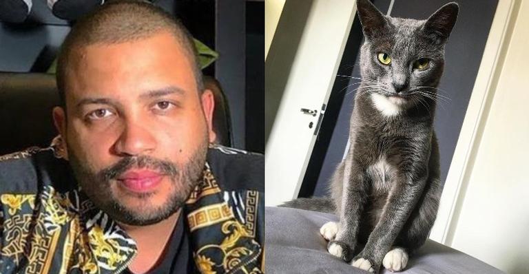 Projota presta homenagem a seu gatinho, Chuck: ”Fez toda a diferença na minha vida”